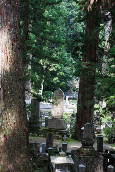 Koya-18