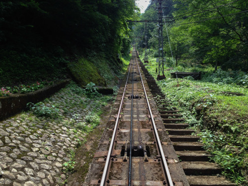 Koya-2