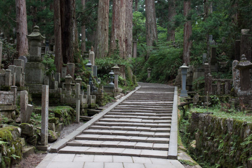 Koya-22