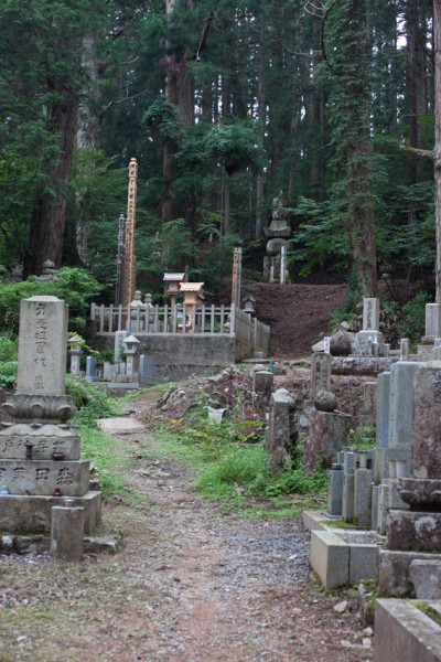 Koya-24