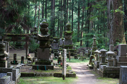 Koya-27