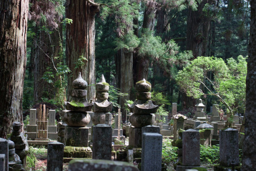 Koya-28