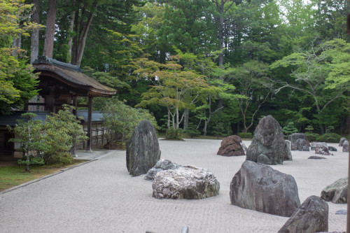 Koya-31