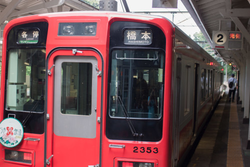 Koya-34