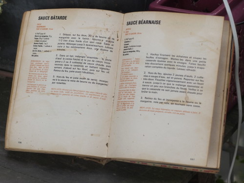 là, pour la page de la béarnaise, les feuilles d'estragon collées façon herbier par la décoction de vinaigre, c'est de moi, mais il est maculé sur de très nombreuses autres pages.