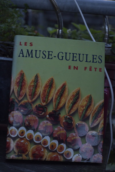 Je n'ai acheté ce livre que pour une recette. Et il y en a plein d'autre de très bien. 