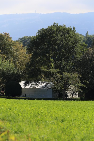 Jonction_haut