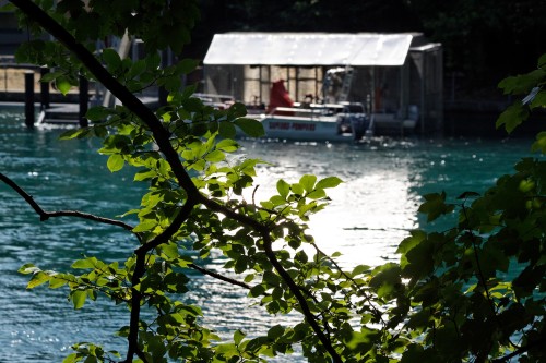 Lumières_Rhône
