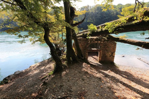 Maison_arbres