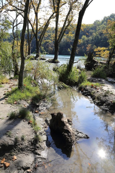 Rhône_marécages