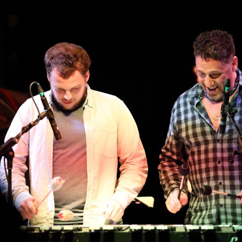 Vibraphone2