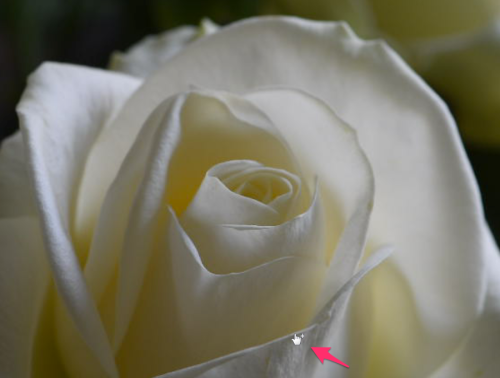 image_02m