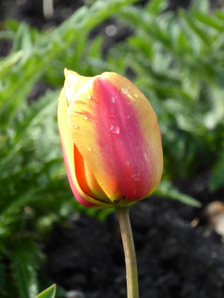 P1000229