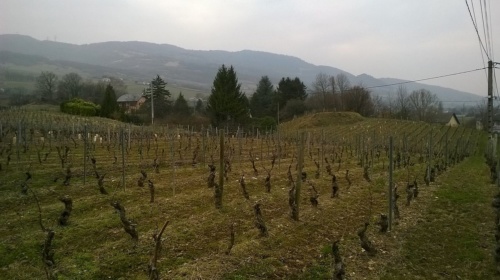 Vignoble_d'Apremont_(2)